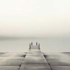 Pier and Seagull