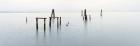 Vintage Pier in the Mist