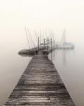 Harbor Fog