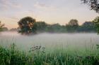 Western Plains Sunrise