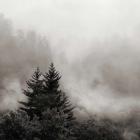 Rising Mist, Smoky Mountains