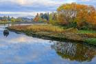 Estuary Autumn