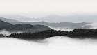 Rolling Fog, Smoky Mountains No. 2
