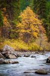 Autumn Across The River