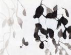 Leaves in Black and White