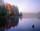 Foggy Morning Sunrise