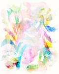 Flower and Rainbow
