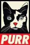 Purr Propaganda