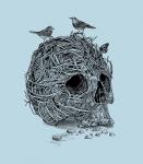 Skull Nest