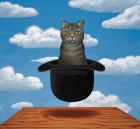 Magritte Cat