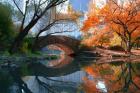 Gapstow Bridge, Fall