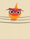 Owl on a Wire