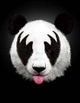 Panda Rocks