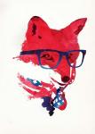 American Fox