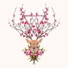 Spring Deer