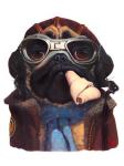 Aviator Pug