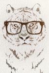 Hipster Tiger