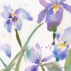 Irises