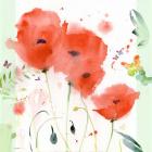 Poppies Chinoise