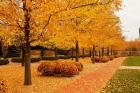 Fall Walkway