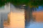 Reflection on the Iowa River No. 1