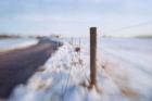 Walking on the Edge of Winter