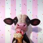 Mooo-Licious