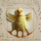 Vitruvian Chick