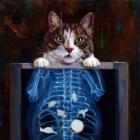 Cat Scan