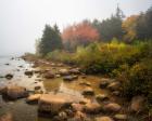 Misty Maine