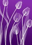 X-ray Flowers Purple