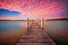 Pink Pier