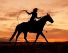 Cowgirl Silhouette