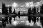 Paradise Reflection