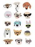 Dogs with Glasses