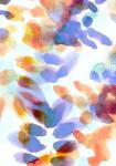 Bloom Indigo