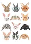 Rabbits in Glasses