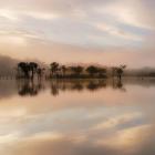 Dawn Mist on the Amazon