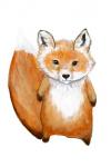 Little Fox