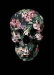 Tropic Skull