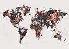 Worldmap Flowers