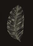 Black Leaf