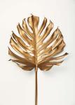 Monstrea Gold Leaf