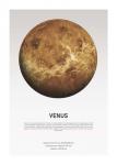 Venus Light