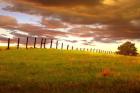 Fenceline, South Dakota