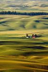 Palouse #27