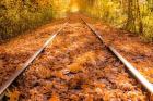 Train Tracks in The Fall