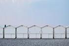 Seaside No. 2