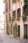 Rustic Roman Street