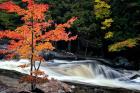 Autumn, Lower Rosseau Falls